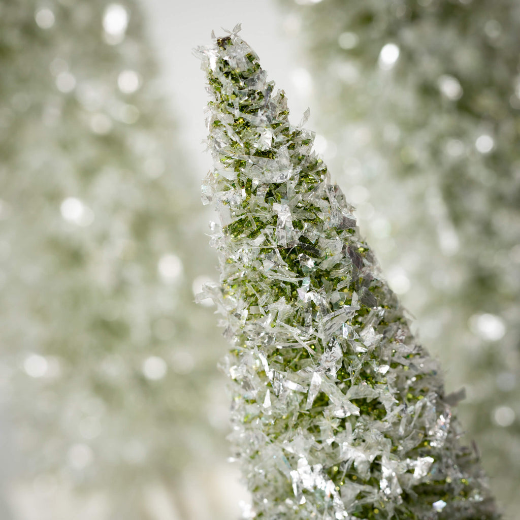 Frosted Bottlebrush Trees     