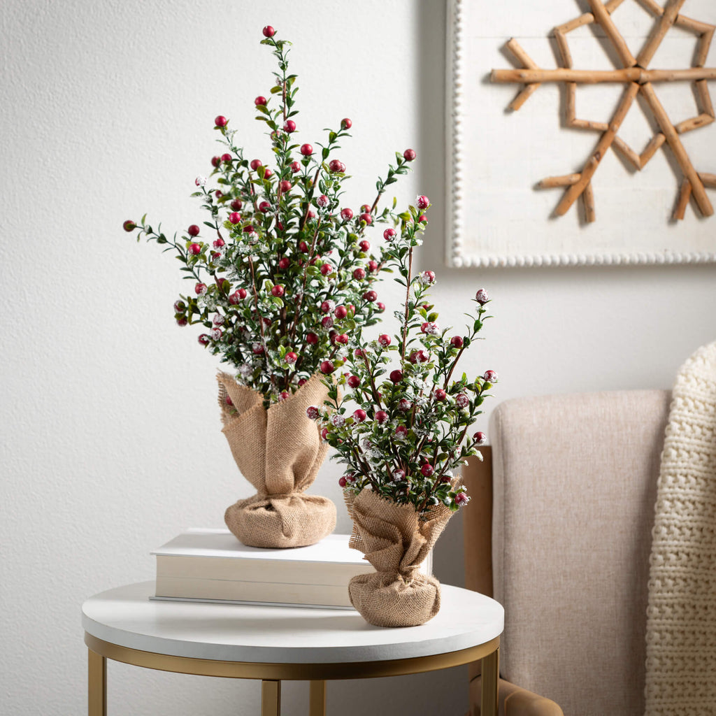 Boxwood Berry Tree Set Of 2   