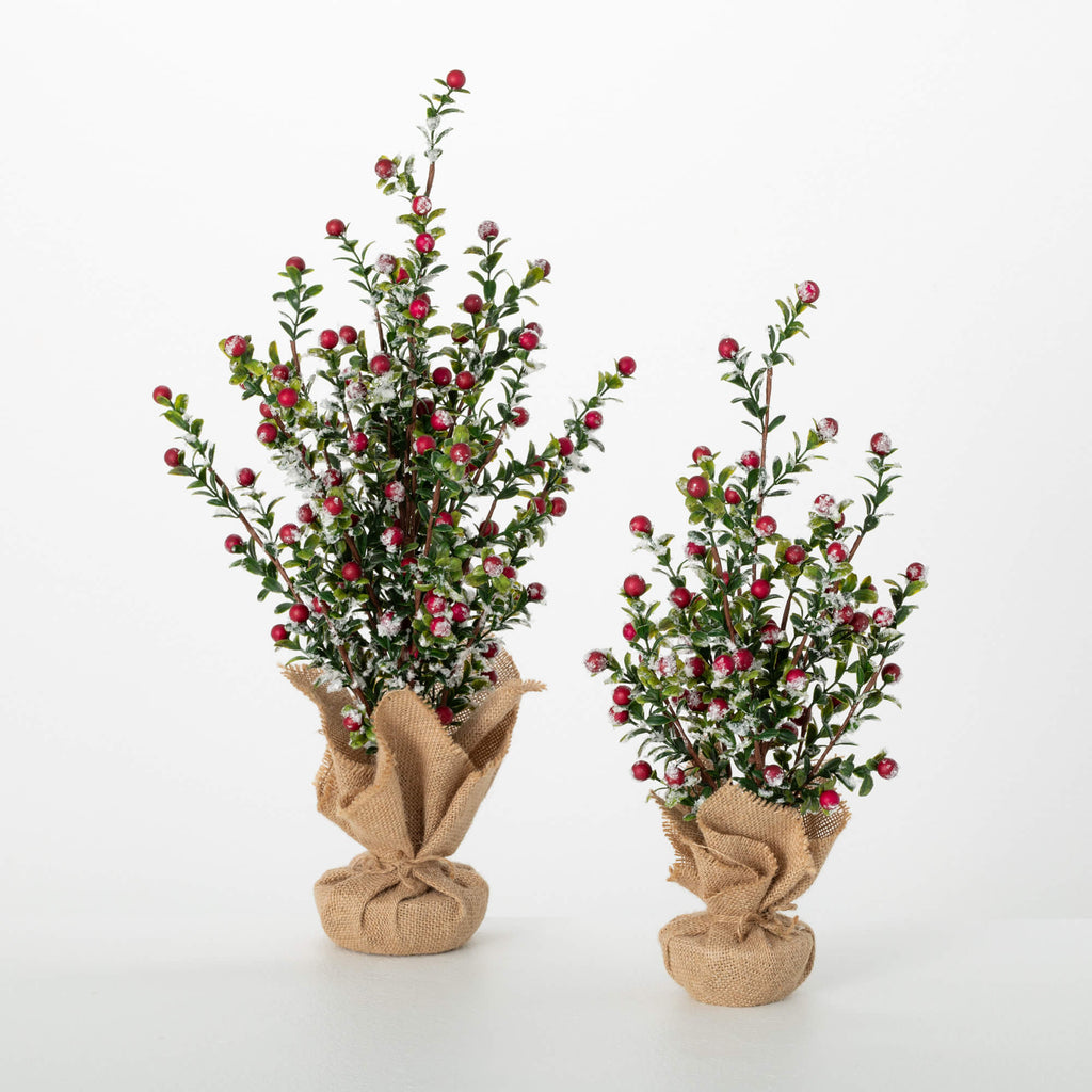 Boxwood Berry Tree Set Of 2   