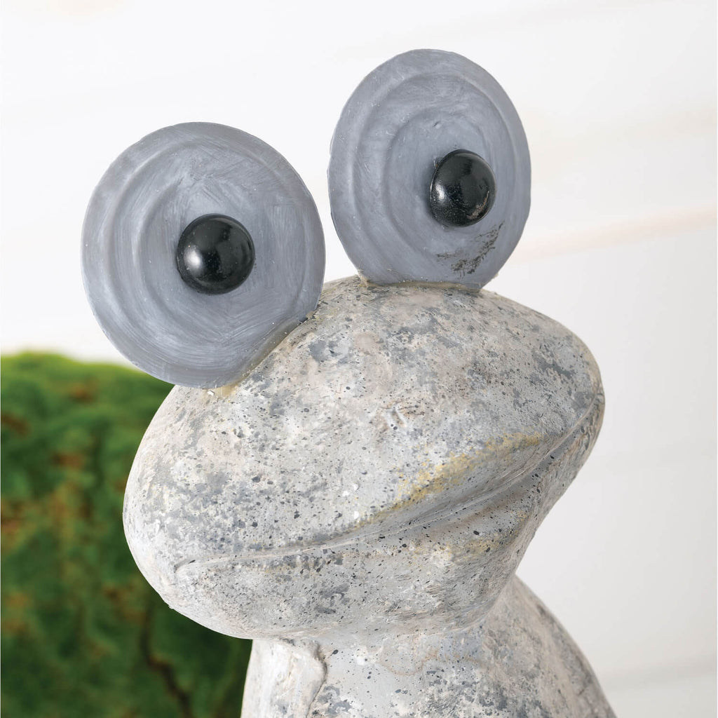 Big Eyed Frog Garden Statue   