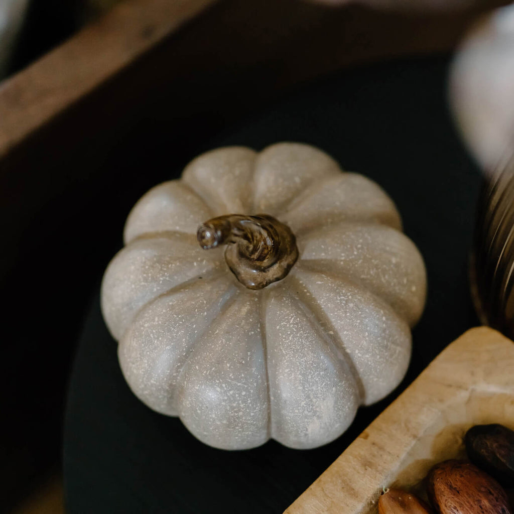 White & Brown Mini Pumpkin Set