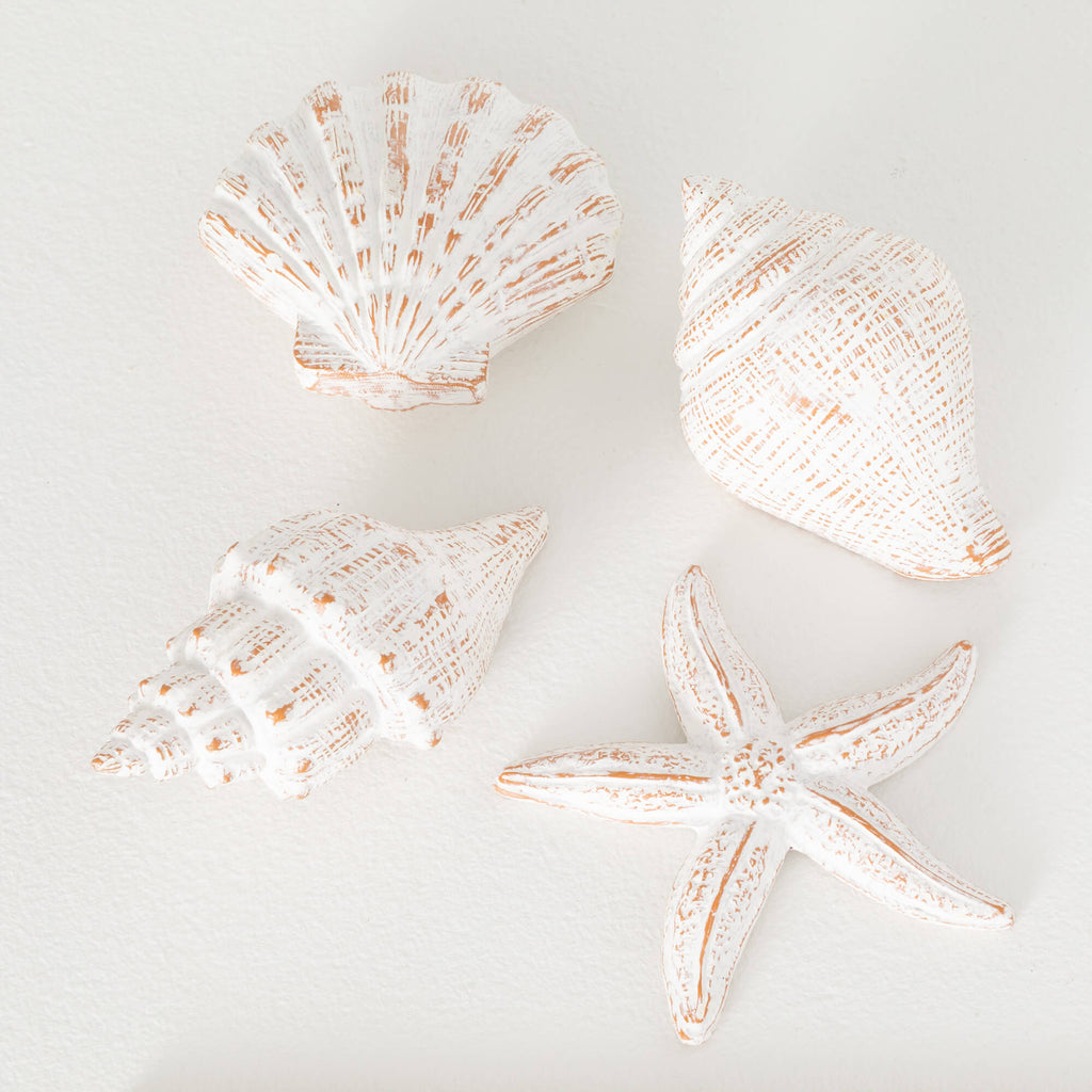 Whitewashed Seashells Set Of 4