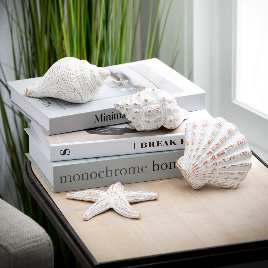 Whitewashed Seashells Set Of 4