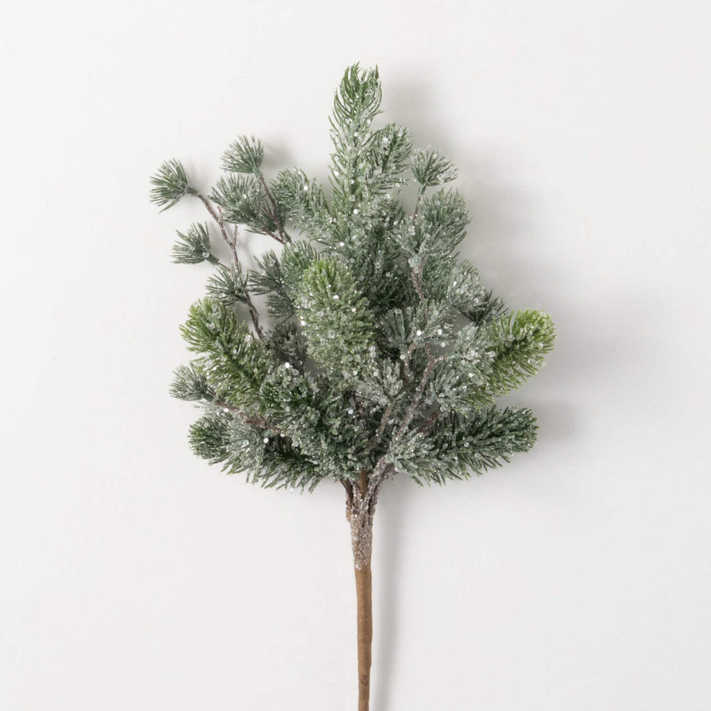 Iced Pine Pick Bush           