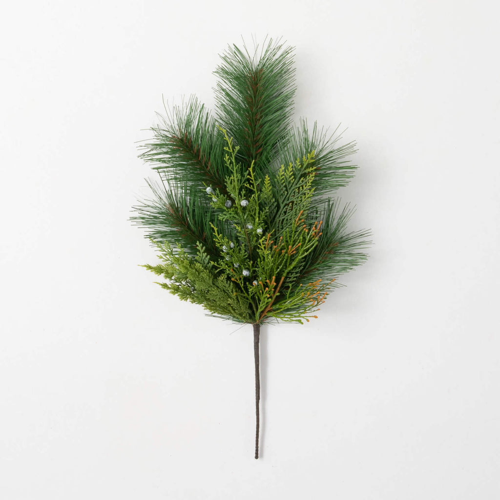 Mixed Pine & Juniper Pick     