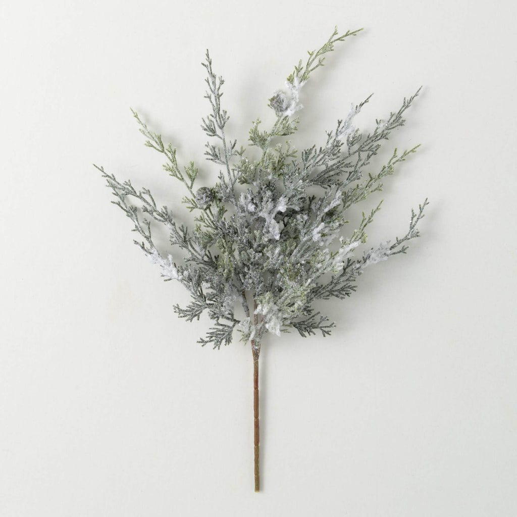 Frosted Draping Cypress Pick  