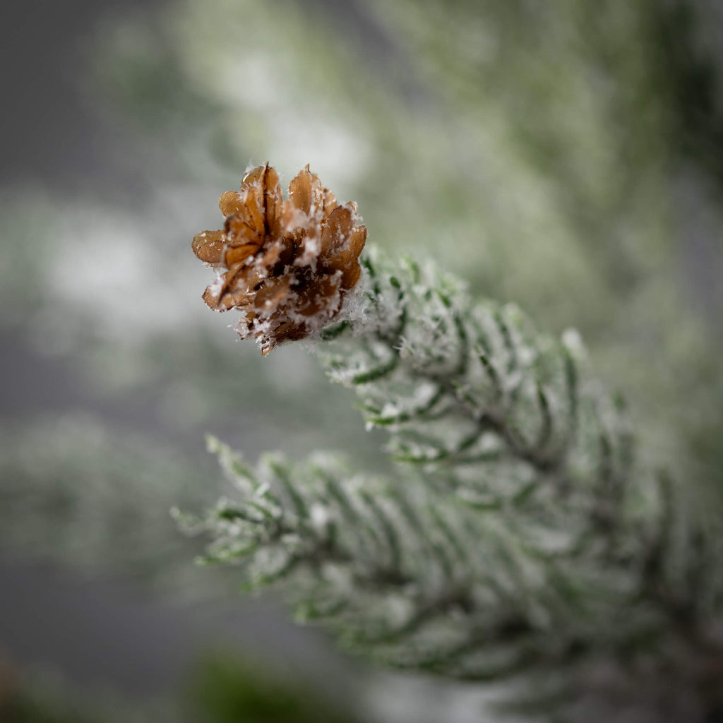 Frosted Draping Cypress Pick  