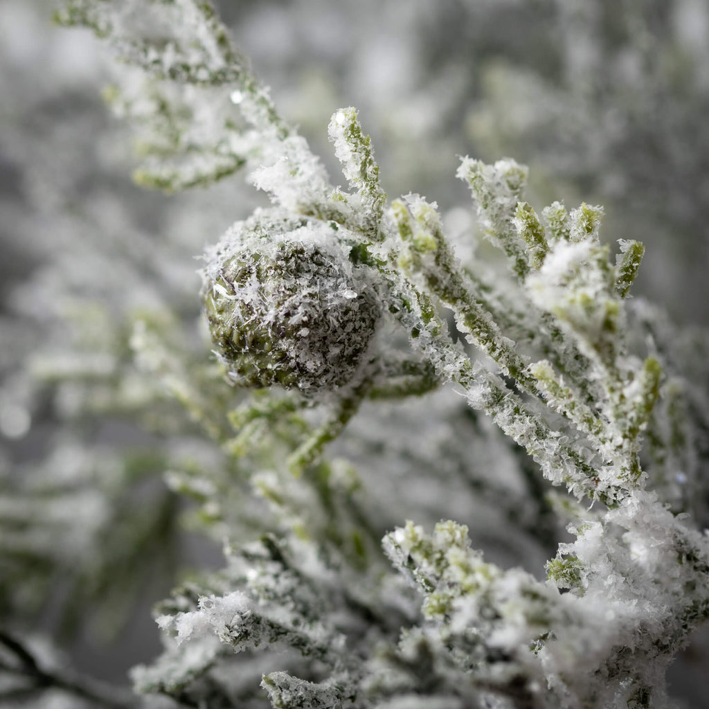 Frosted Pine Pinecone Pick    