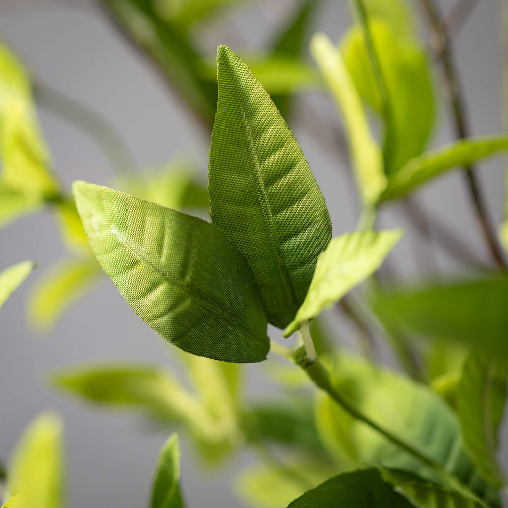 Ruscus & Twig Garland         