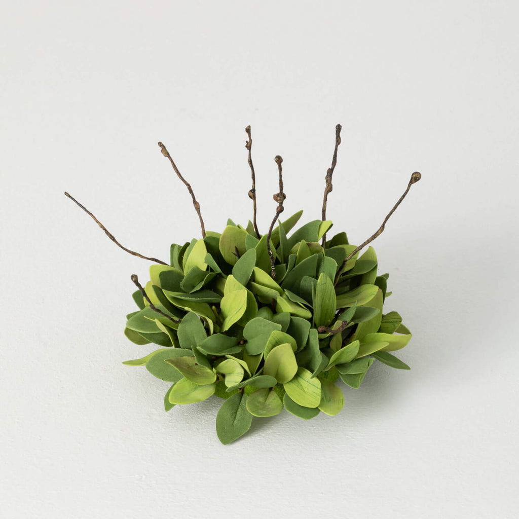 Ruscus Leafy Twig Half Orb    