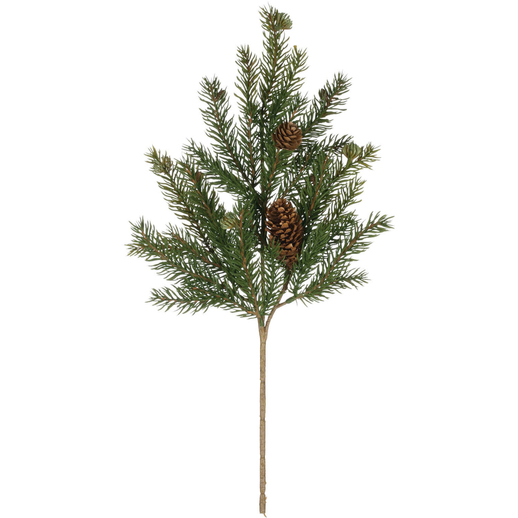 White Spruce Pick             