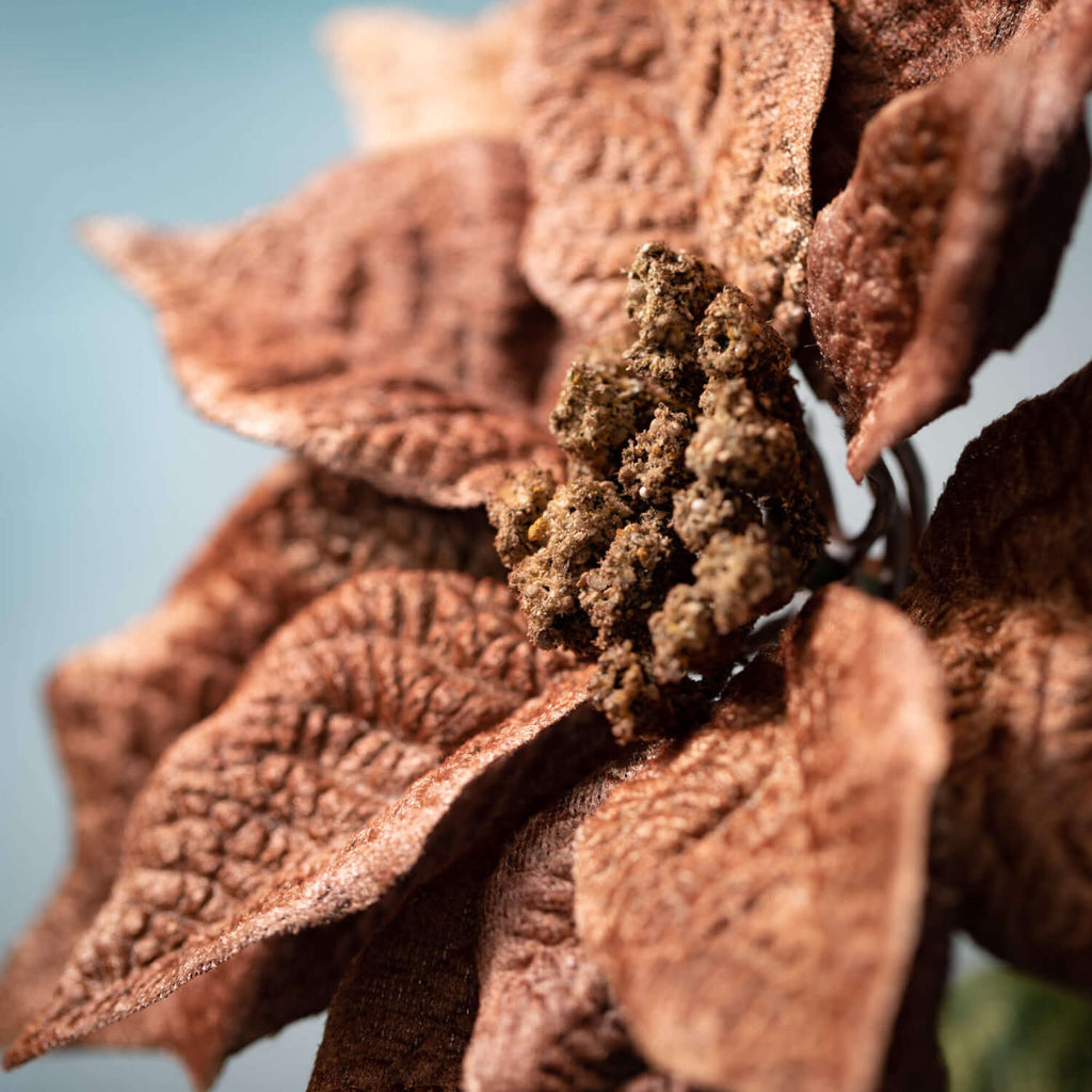 Brown Poinsettia Spray        