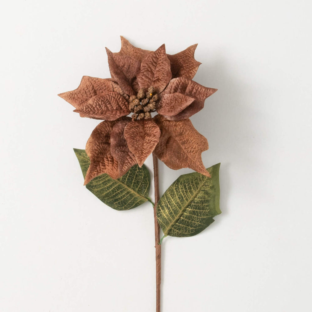 Brown Poinsettia Spray        