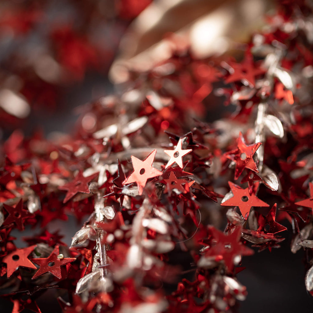 Fancy Red Amaranthus Vine     