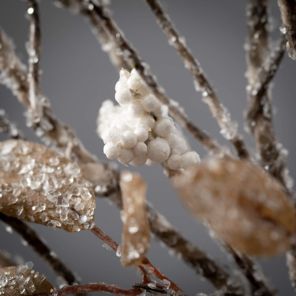 Icy Neutral Leaf Berry Spray  