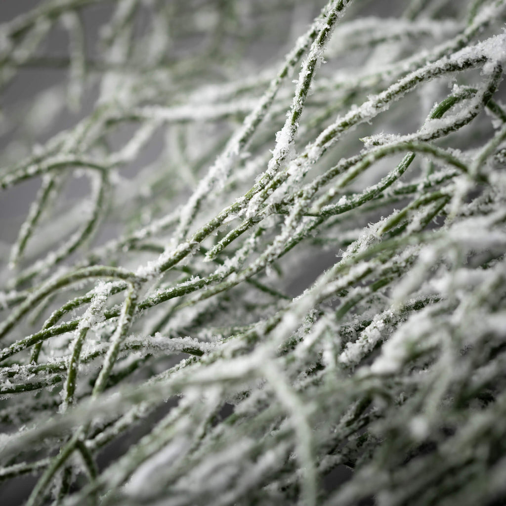 Lightly Frosted Grass Spray   