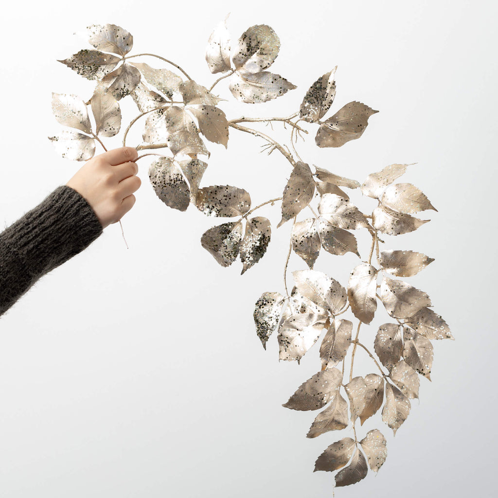 Silver Boston Ivy Vine        