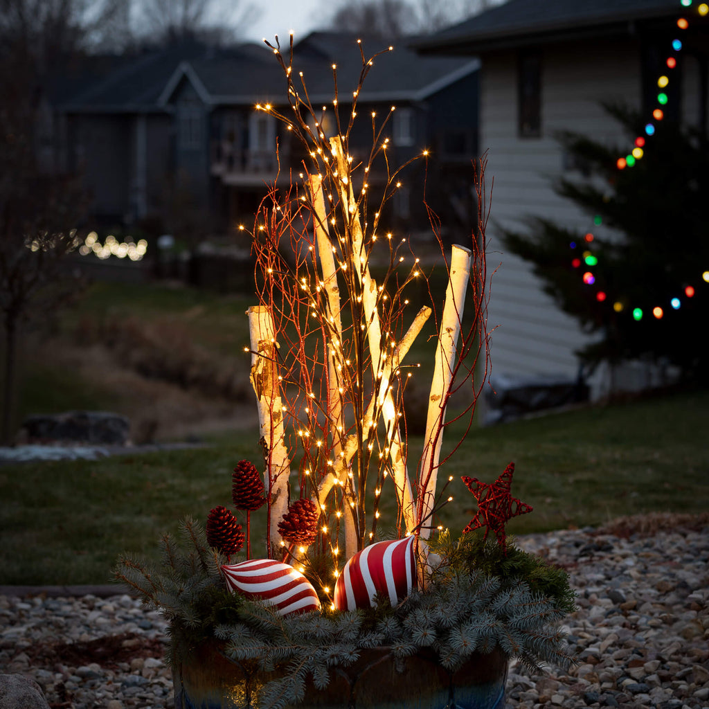 Large Bare Lighted Branch     