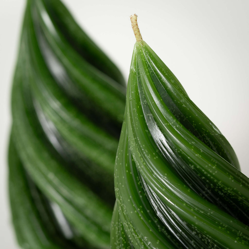 Green Christmas Tree Candles  