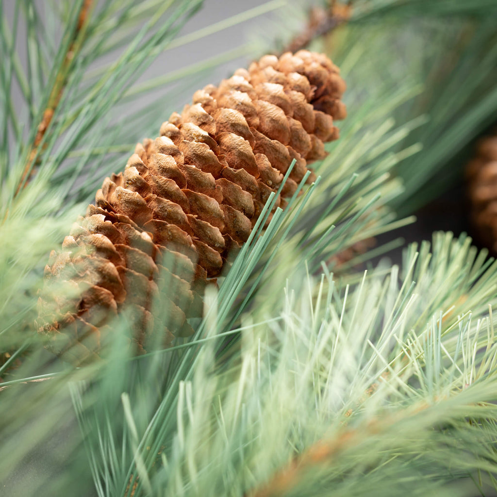 Wispy Bleached Pine Swag      