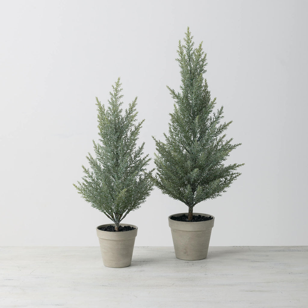 Tabletop Cedar Tree Set Of 2  