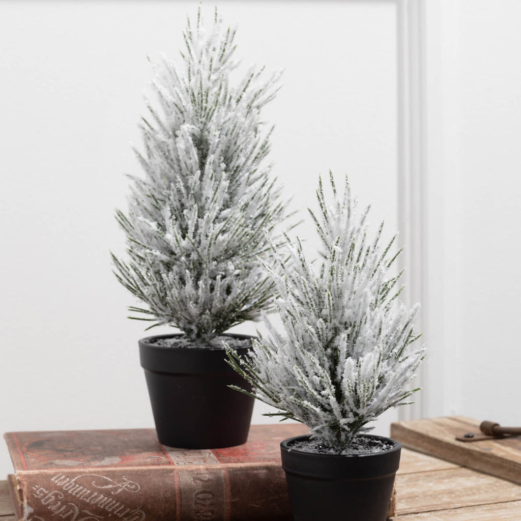 Flocked Tabletop Pine Tree Set