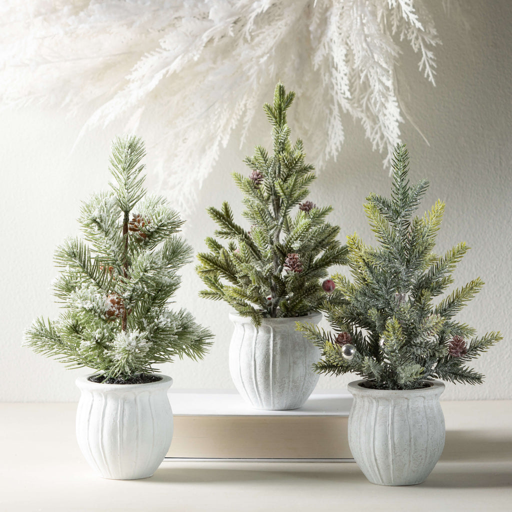 Potted Pine Tree Set/3        