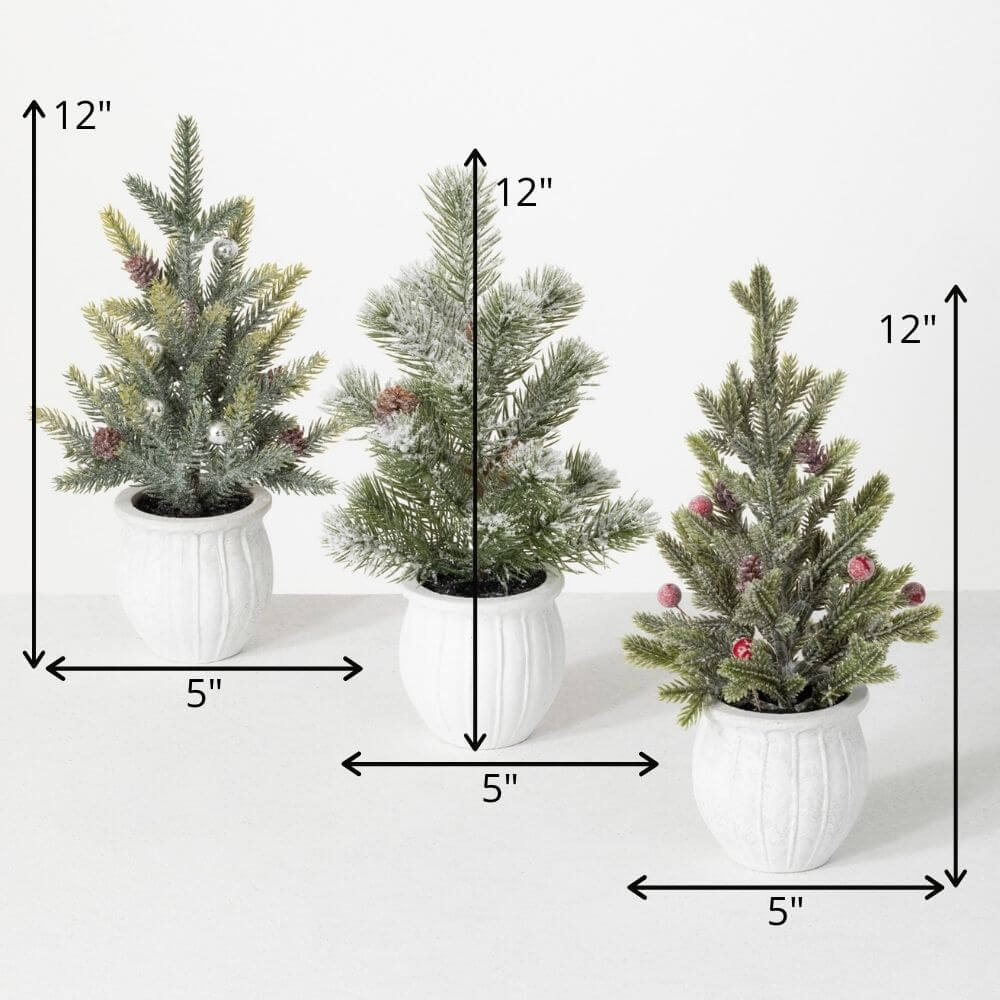 Potted Pine Tree Set/3        