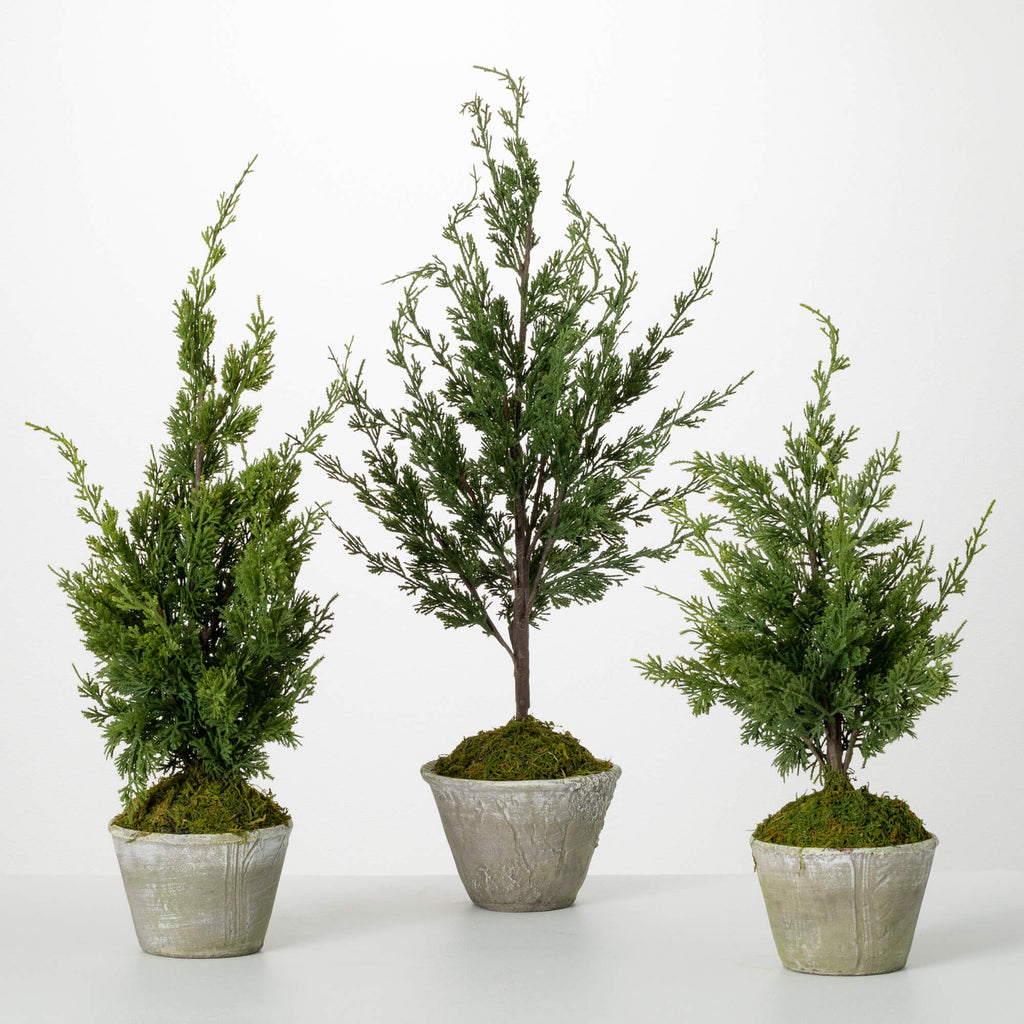 Faux Dwarf Cedar Tree Set Of 3