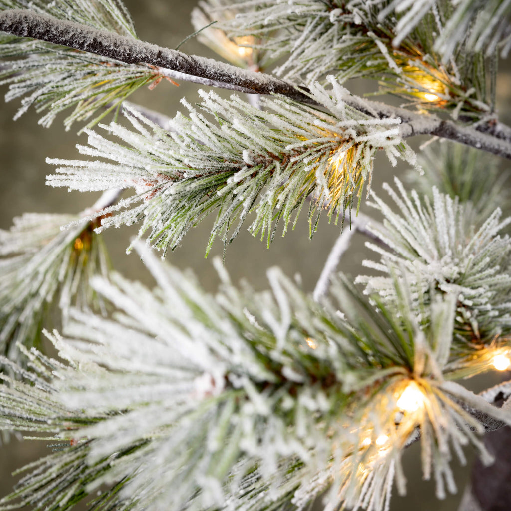 6' Lit Snowy Pruned Pine Tree 