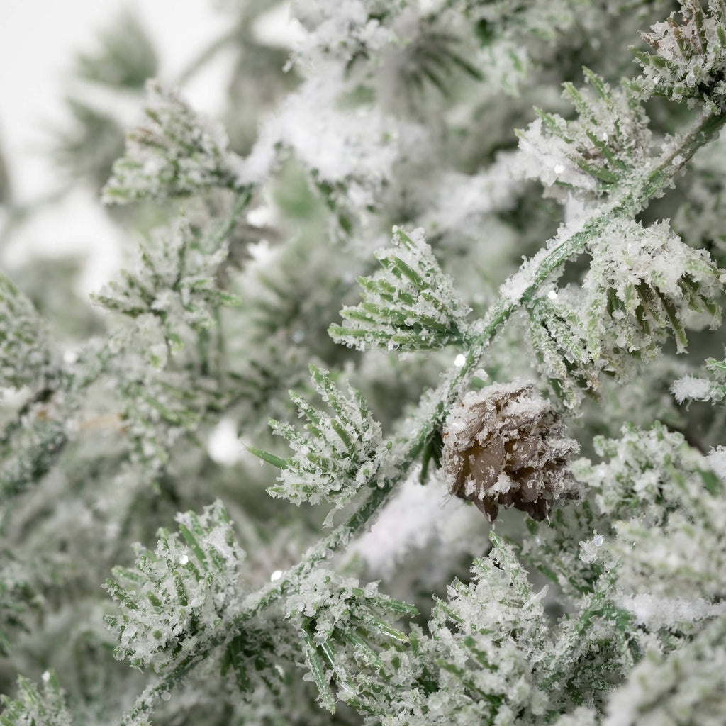 Draping Snowy Pine Tree       