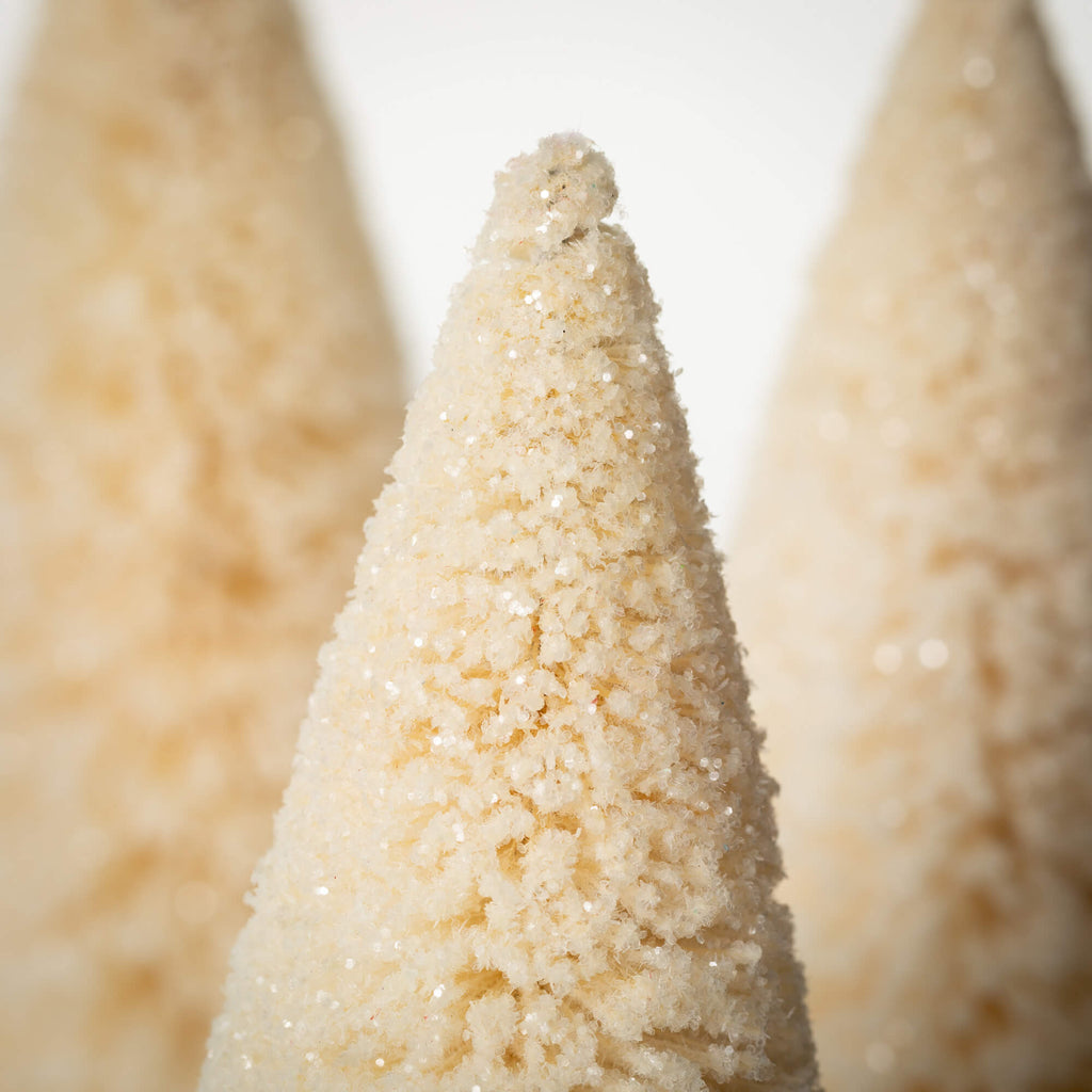 Frosty Cream Bottlebrush Trees