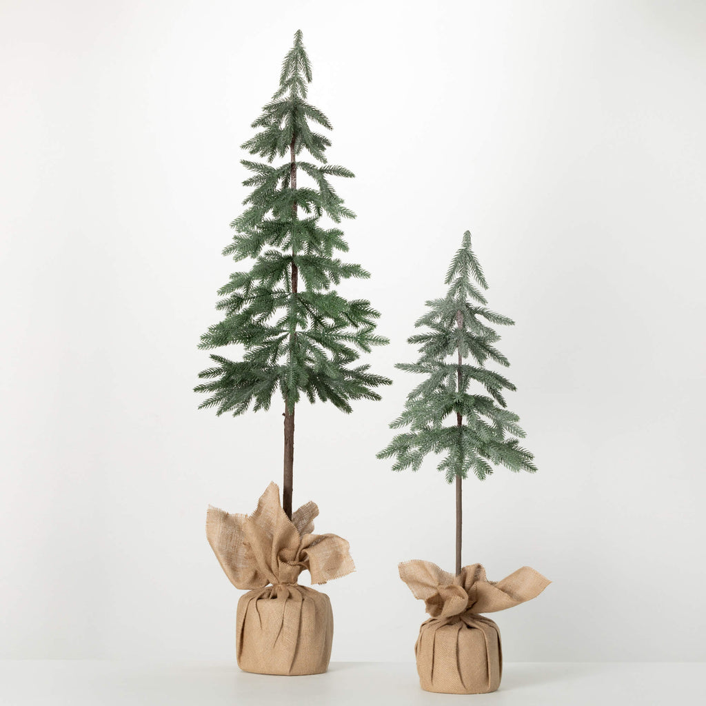 Pencil Pine Tree Set          