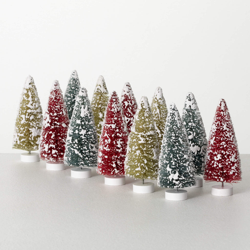 Boxed Bottlebrush Tree Set 12 