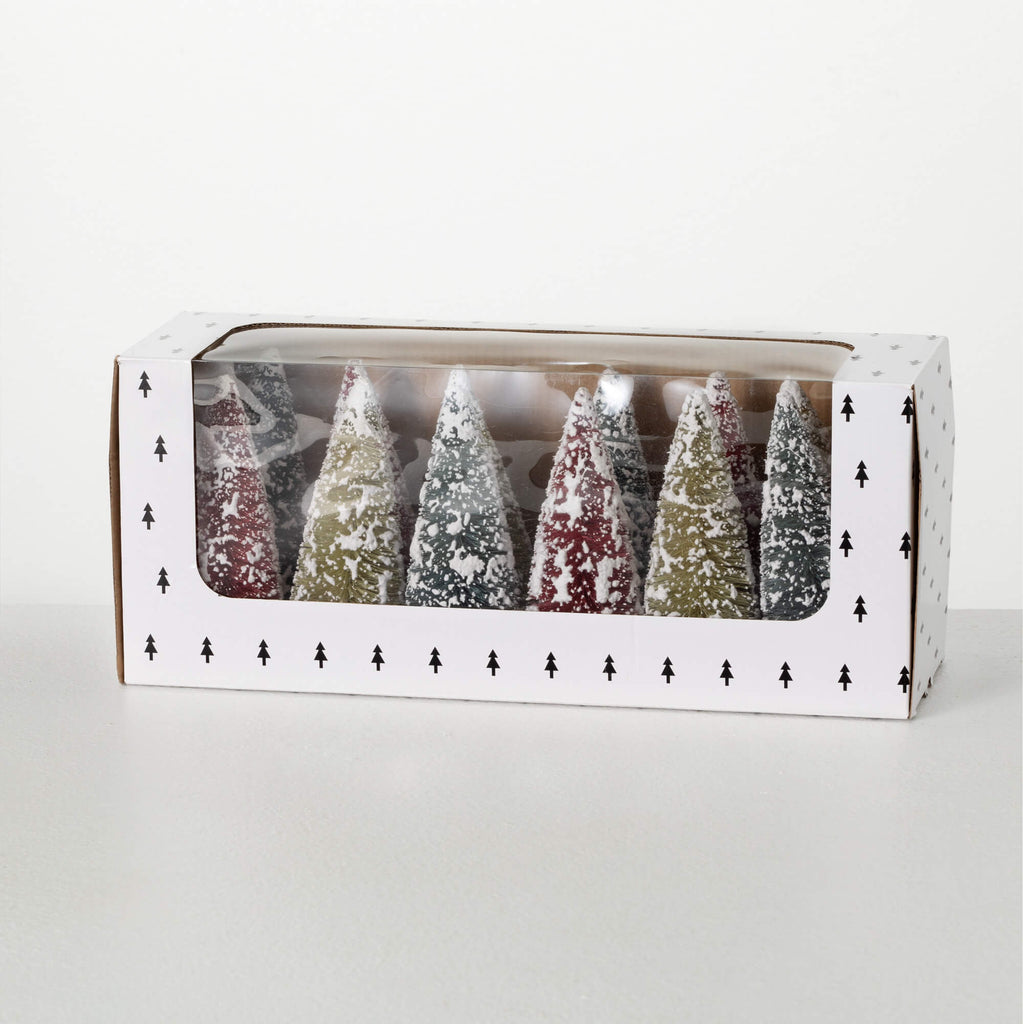 Boxed Bottlebrush Tree Set 12 