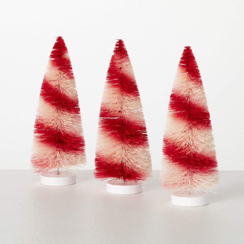 Candy Stripe Bottlebrush Trees