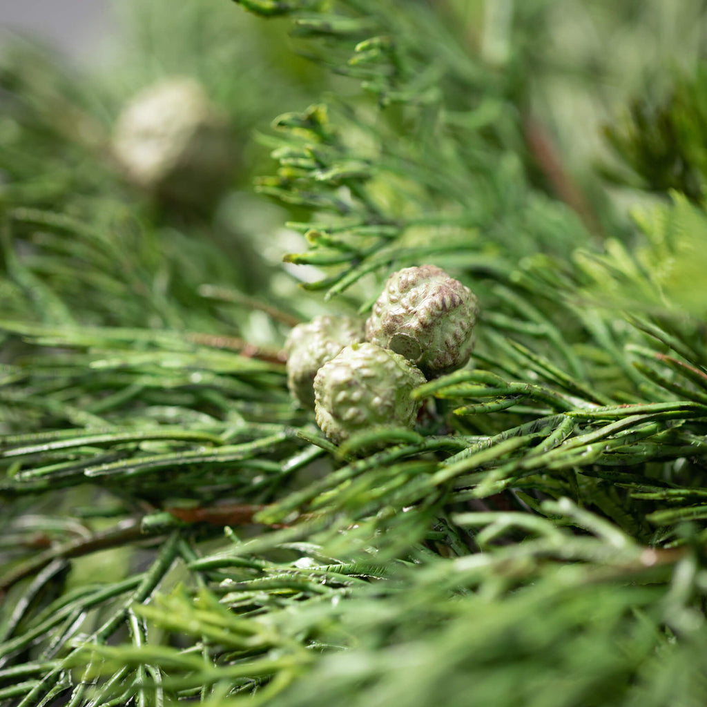 Lush Cypress & Berry Wreath   