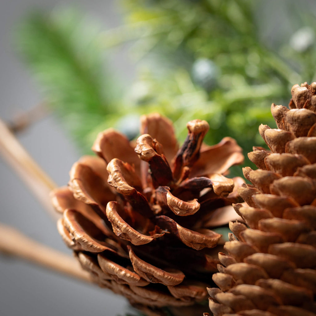 Lush Pine Pinecone Wreath     