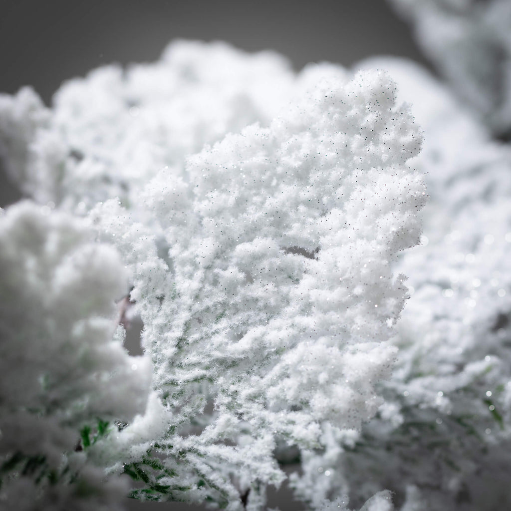 Snowy Cedar Wreath            