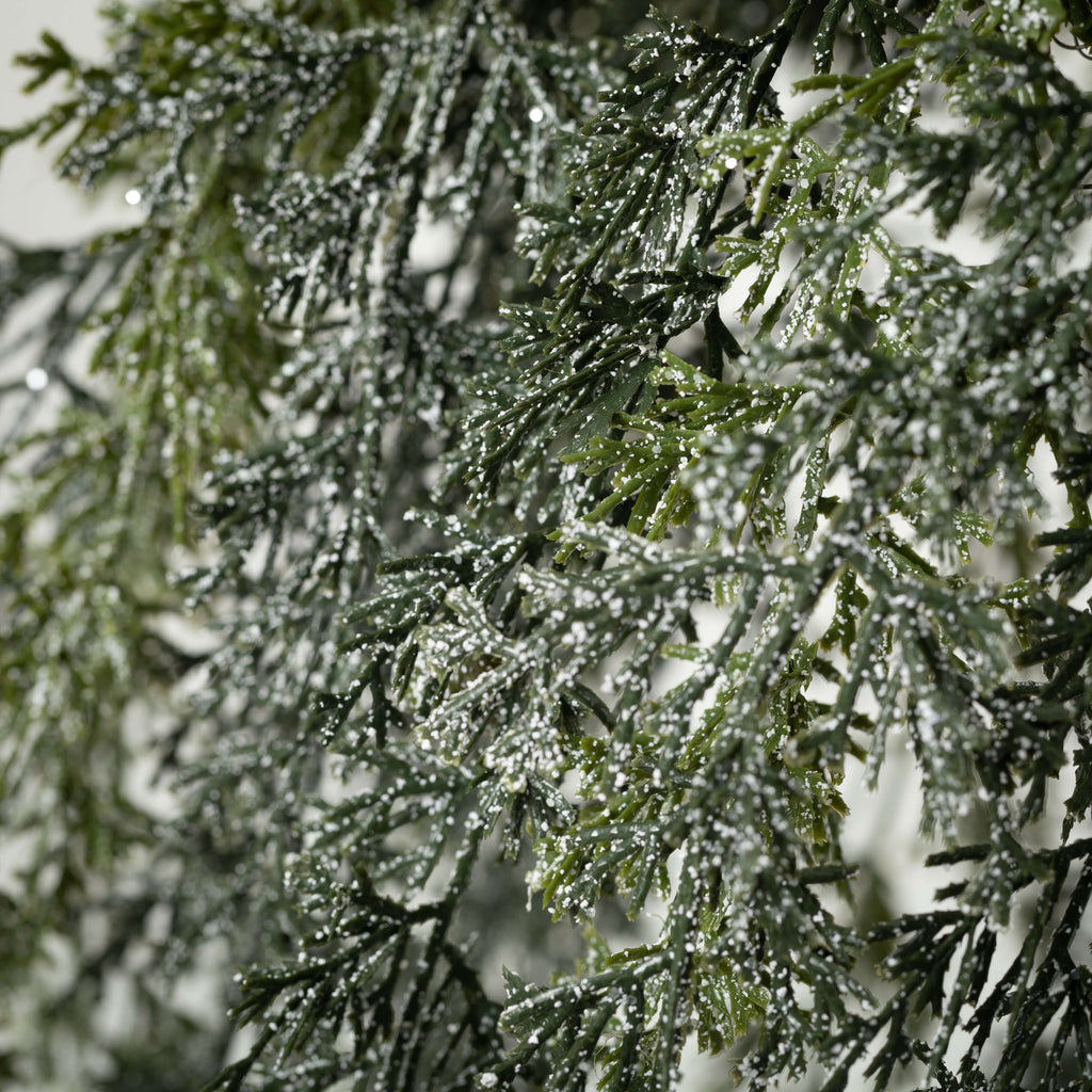 Draping Cypress Hanging Wreath