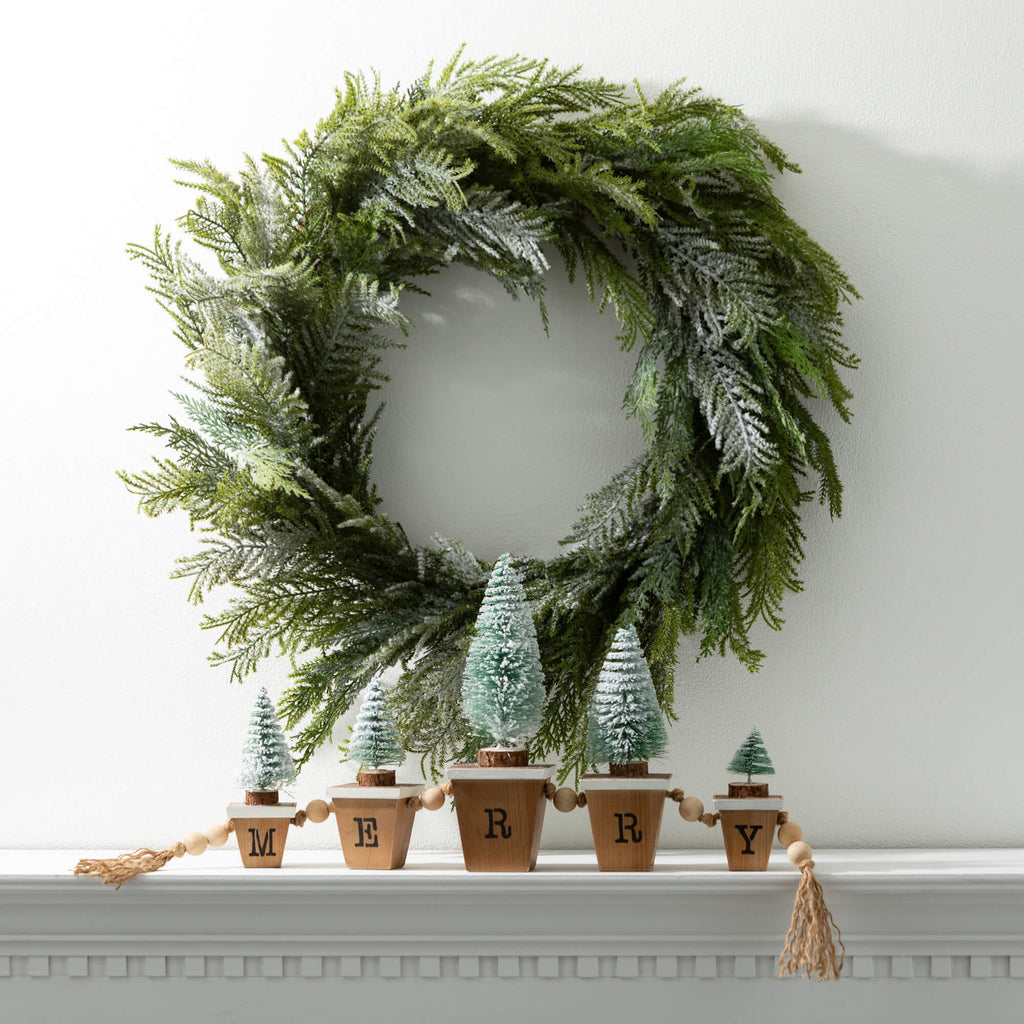 Norfolk Island Cedar Wreath   