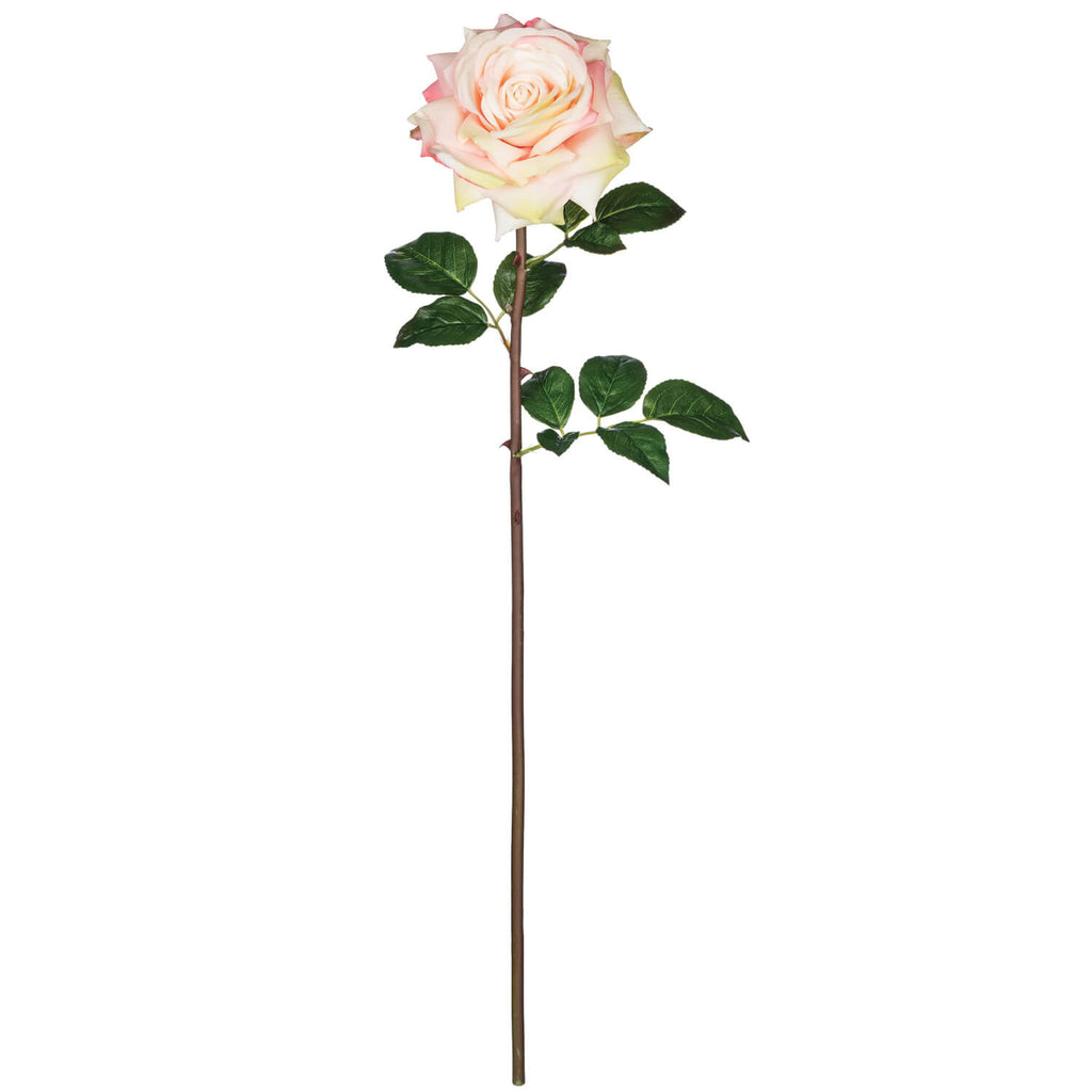 Open Rose Stem                