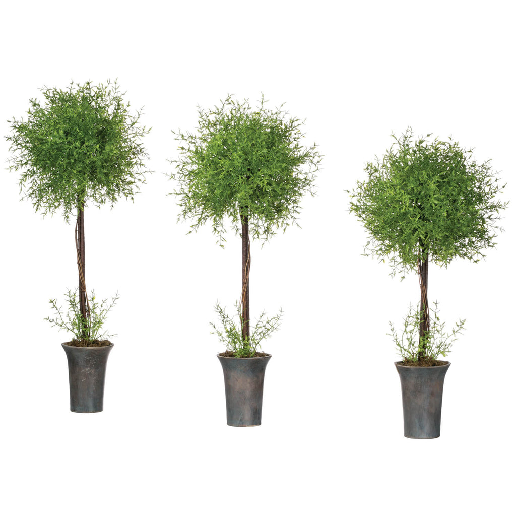 Feather Fern Topiary Set Of 3 