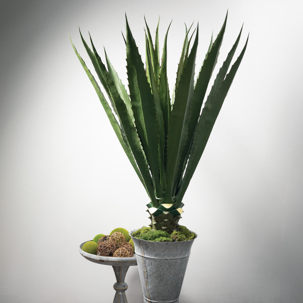 Giant Realistic Potted Agave  