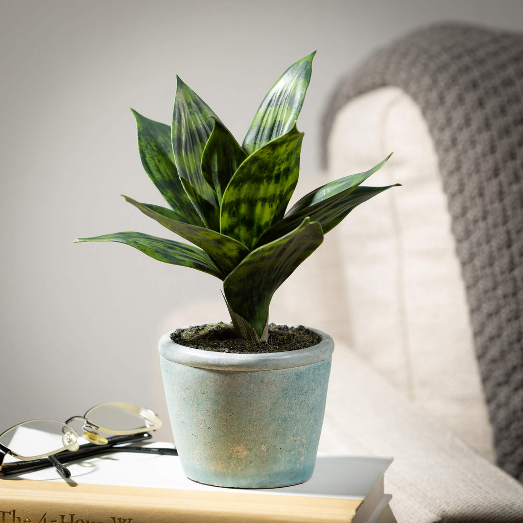Life-Like Potted Sansevieria  