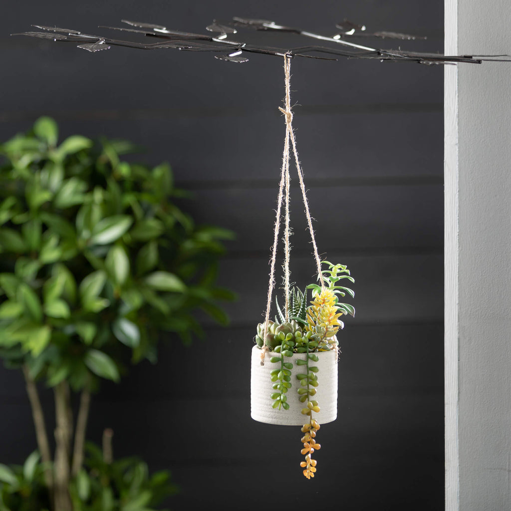 Hanging Succulent Premade     