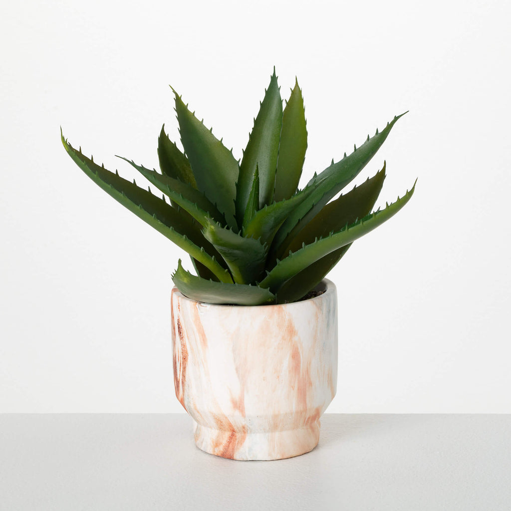Agave In Marbleized Planter   