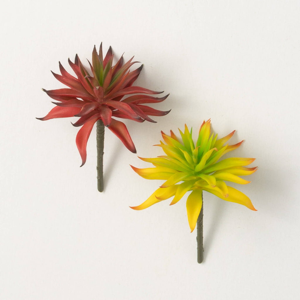 Red Yellow Succulent Spike Set
