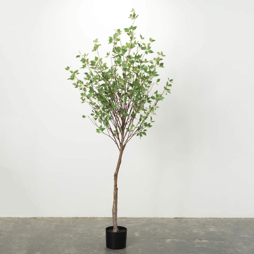 Mountain Leaf Potted Tree     