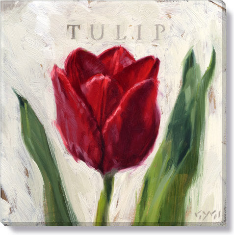 Red Tulip Giclee Wall Art     